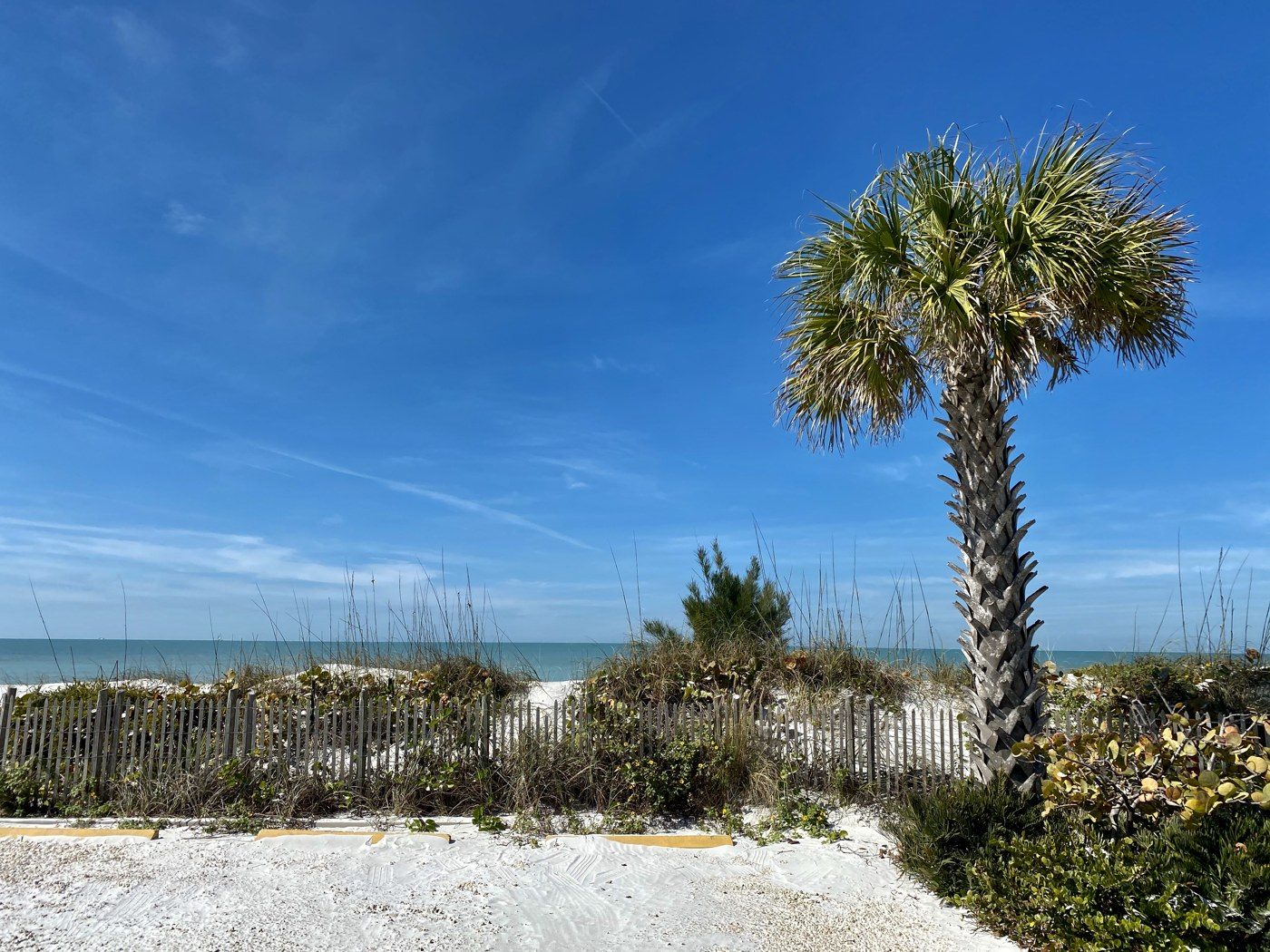 Florida, February 2021.