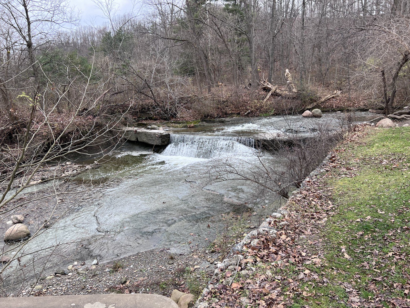 A creek, November 2022.