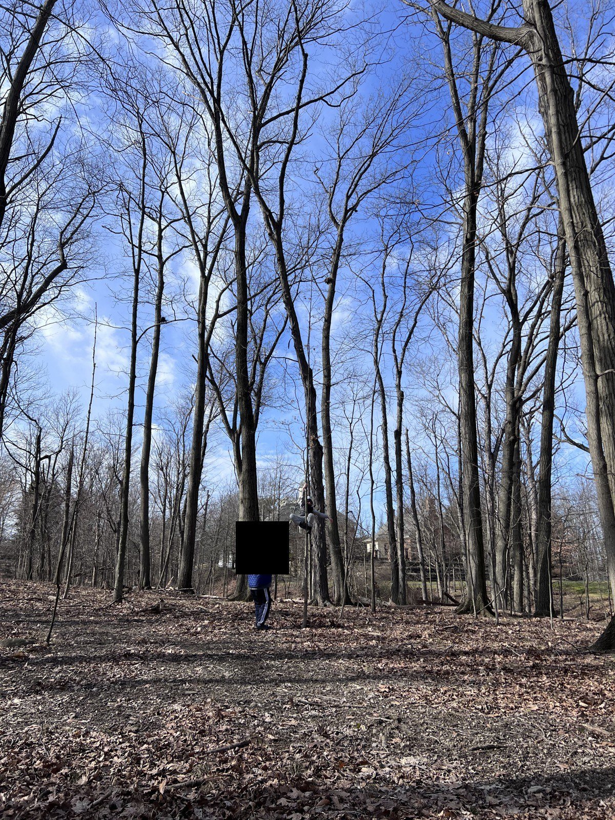 A walk in the woods, February 2023.