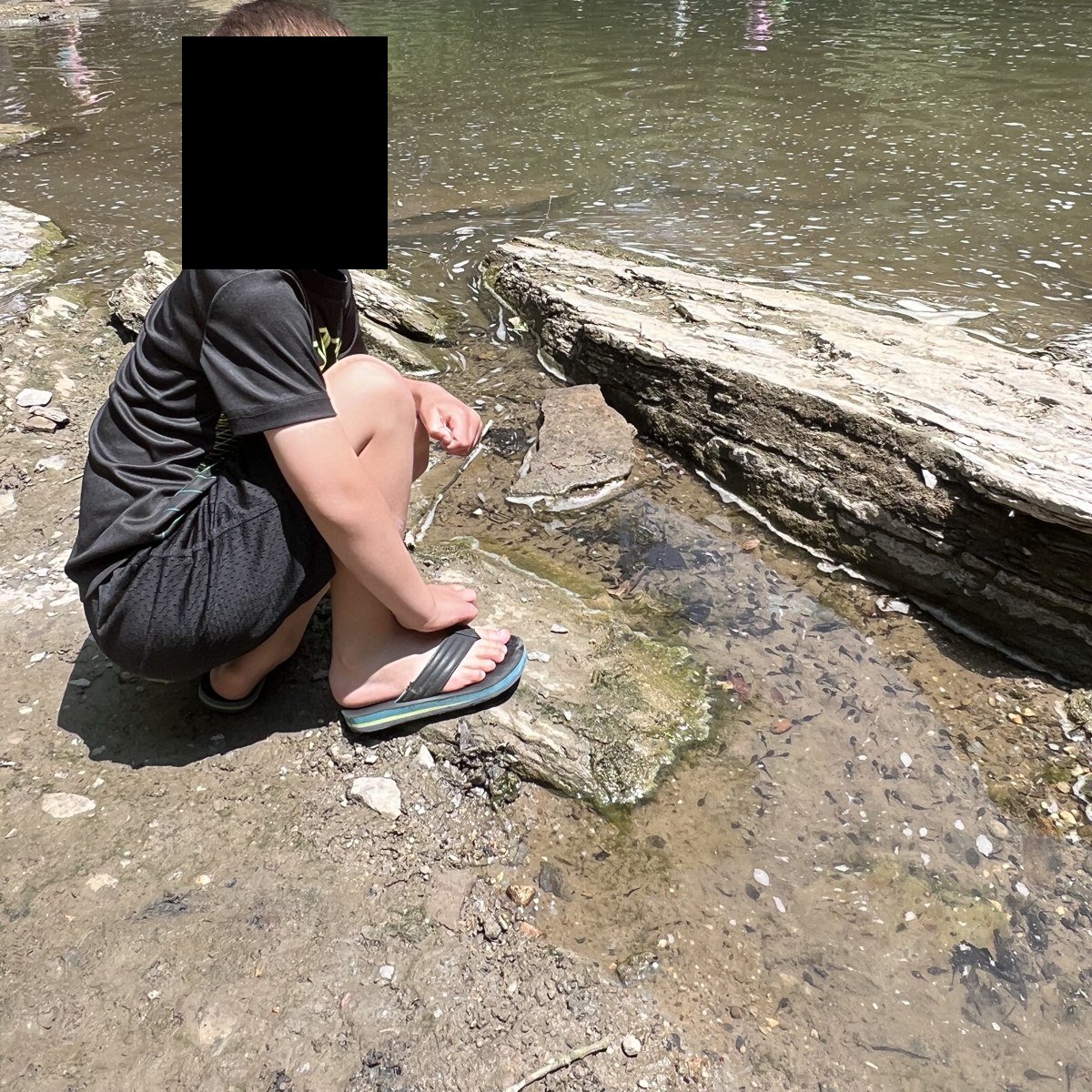 At the creek, June 2023.