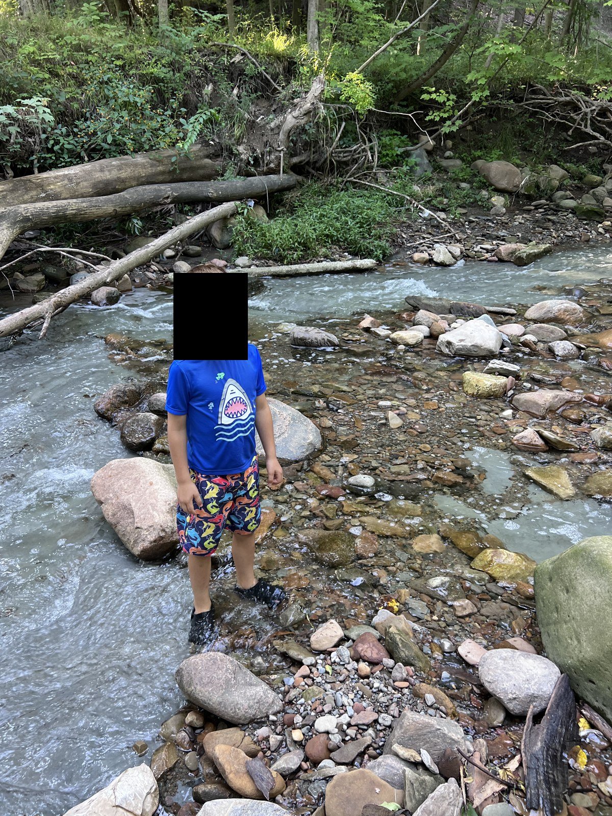 The creek, August 2023.